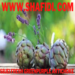 FRESH GREENPURPLE ARTICHOKE